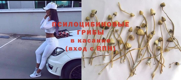 прущая мука Алексин
